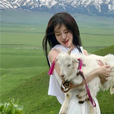 拼尽全力去爱你