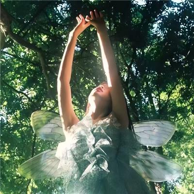 哑妻不做笼中雀